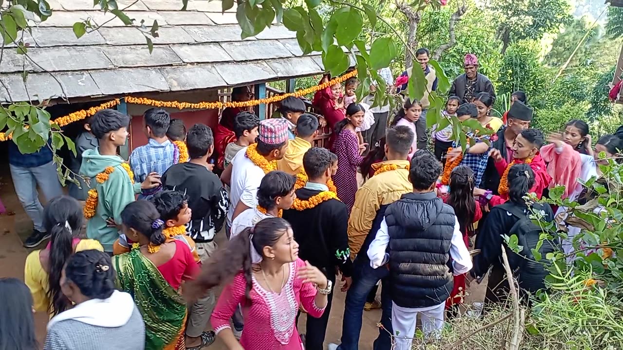 Nepali biggest cultural deuse vailo tihar
