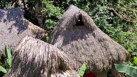Dominican TreeHouse Village