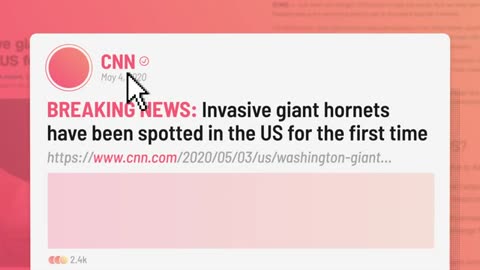 How to spot misinformation online CNN