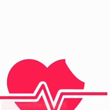 Chia Seeds Enhancing Bone Health and Calcium Absorption