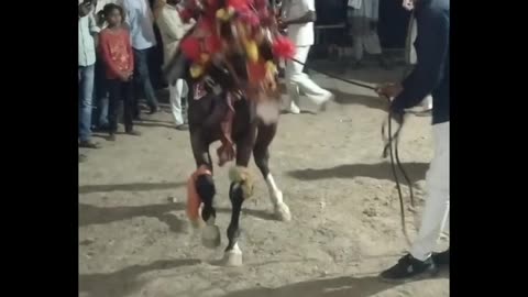 Horse 🐎 dance🤩