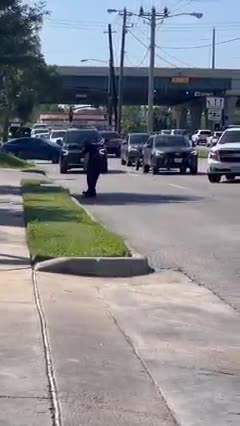 Police officer in Webster, TX stops traffic to escort a mother duck & duckings across a busy road.
