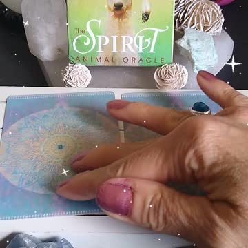 What Spirit Animals Are With You Today? #shorts