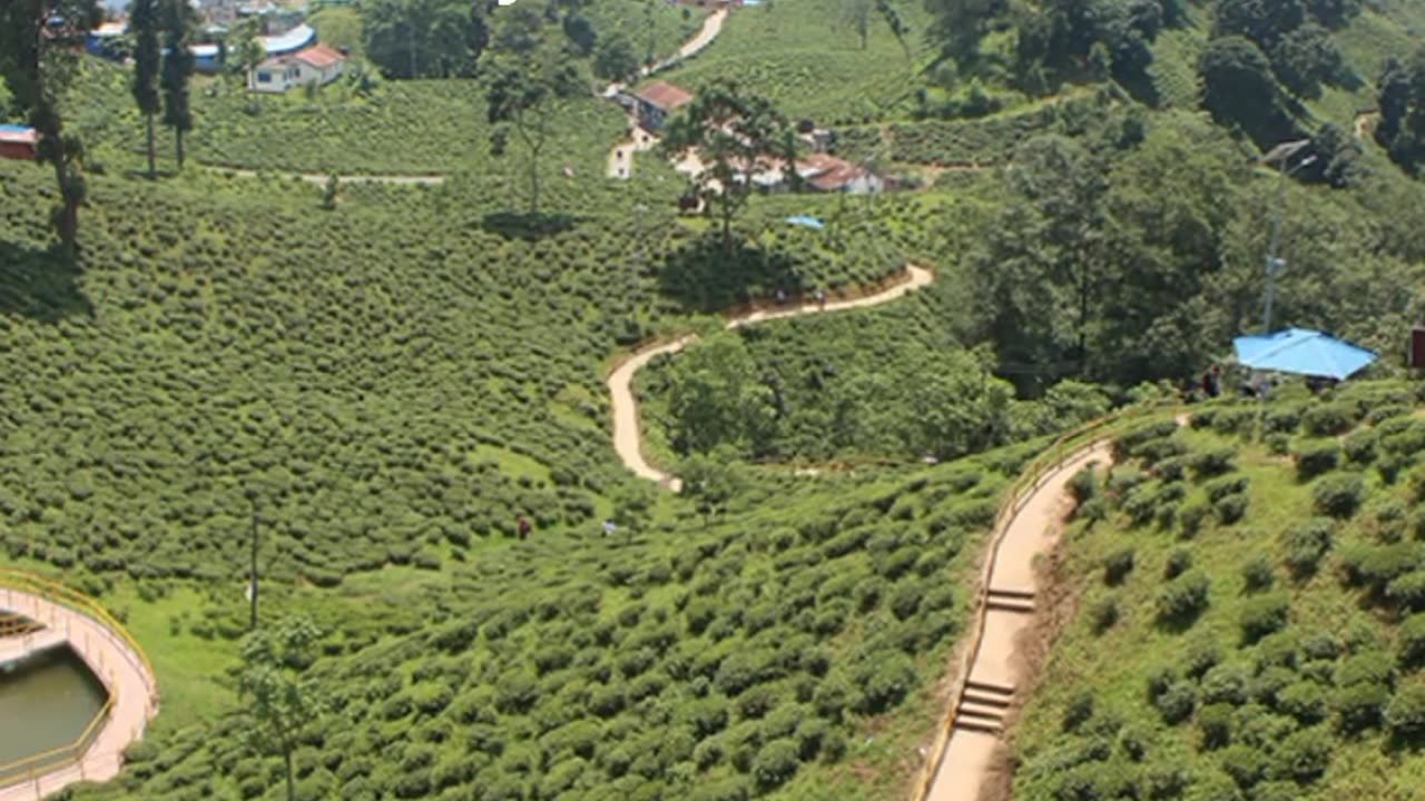 beautiful nature NEPAL SEE THIS VIDEO AND FALLO ME FOR MORE VIDEOES