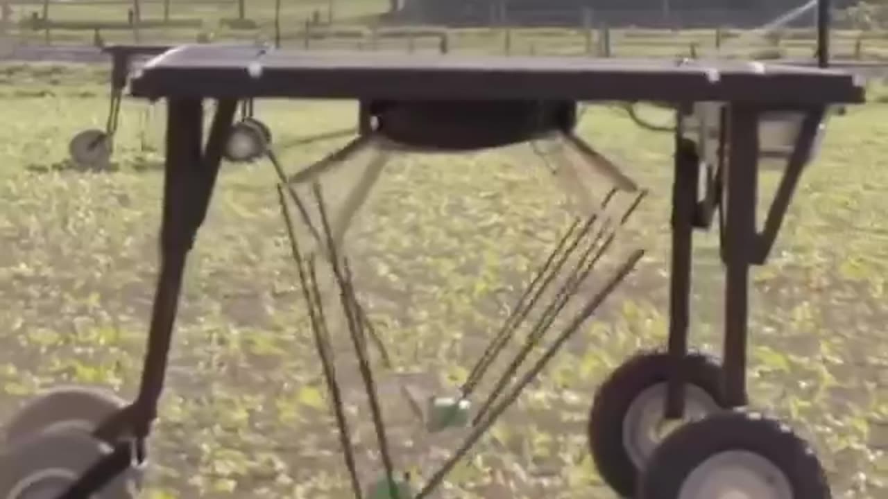 This solar-powered weeding robot offers more sustainable use of herbicides.