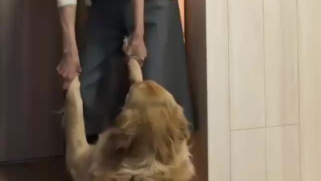 Dragged in