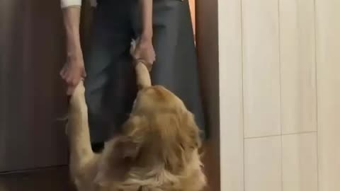 Dragged in