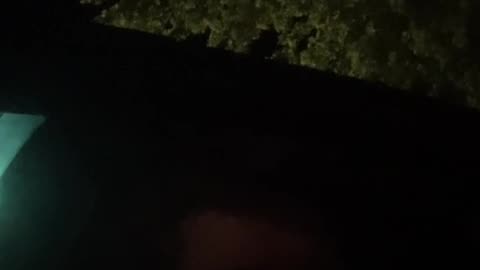 Could he have been set up?