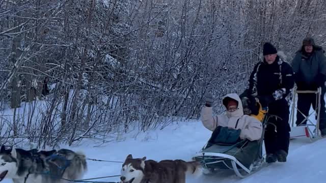 Husky Dog Sledding & Mushing Experience in Fairbanks, Alaska in November, 2022