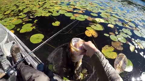 A Relaxing Day Of Frog Bassin'-18