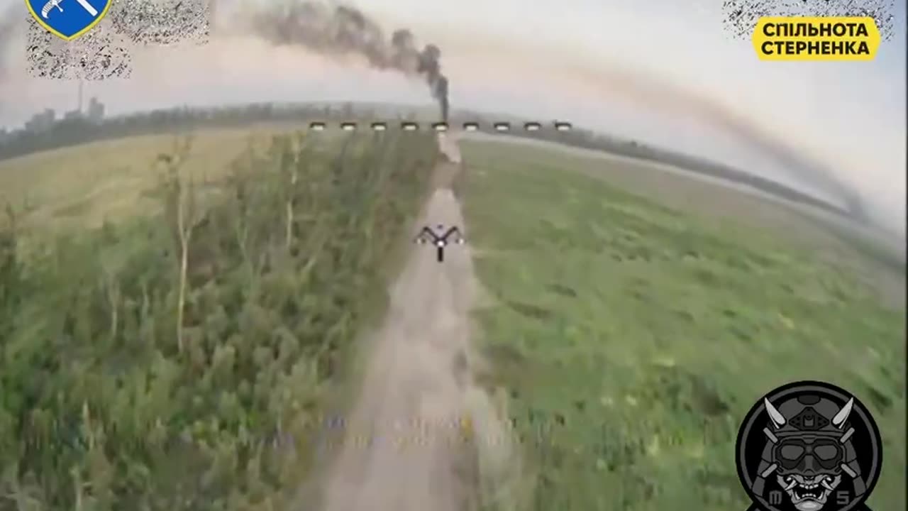 Ukrainian Drone Srike on a Russian Infantry Group