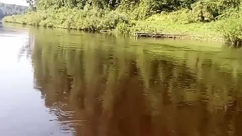 nature and river