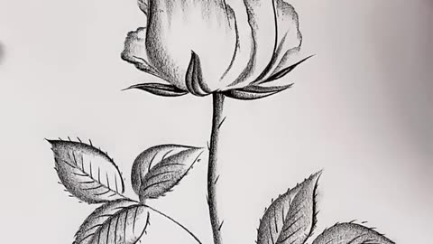 Best arts 🌹banane me