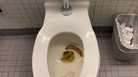 turd flush part 7