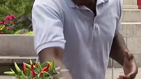 Hottest Ghost Pepper #SHORTS