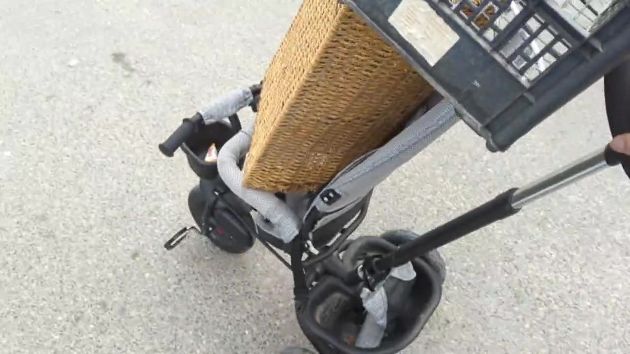 2023-04-04 (1) - Matinux - Twitch Meutemediatique