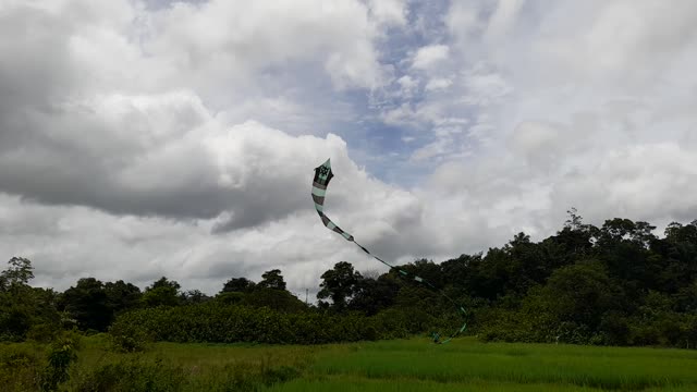 Beautiful snake kite|ceylonmaker