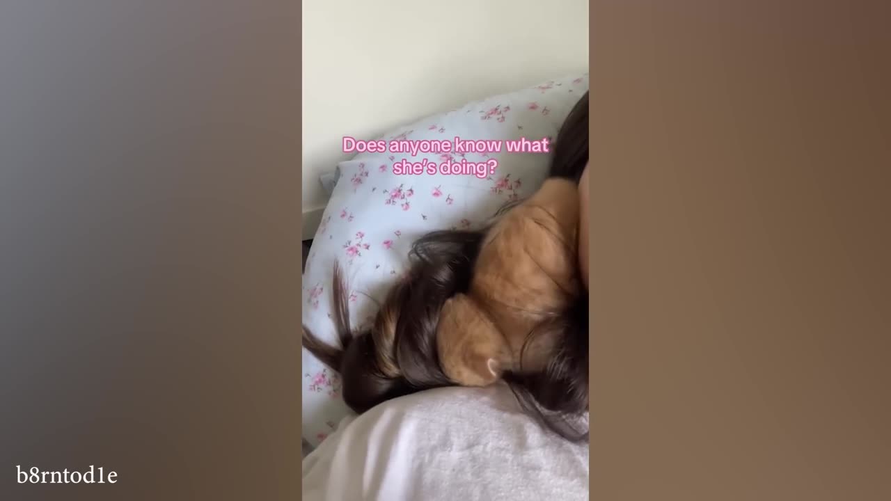 I have the weirdest CAT in the world 😊 Funny Cat Video 2024