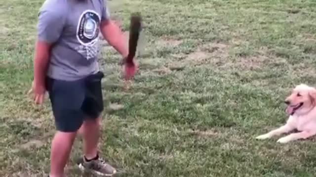 Amazing Skills