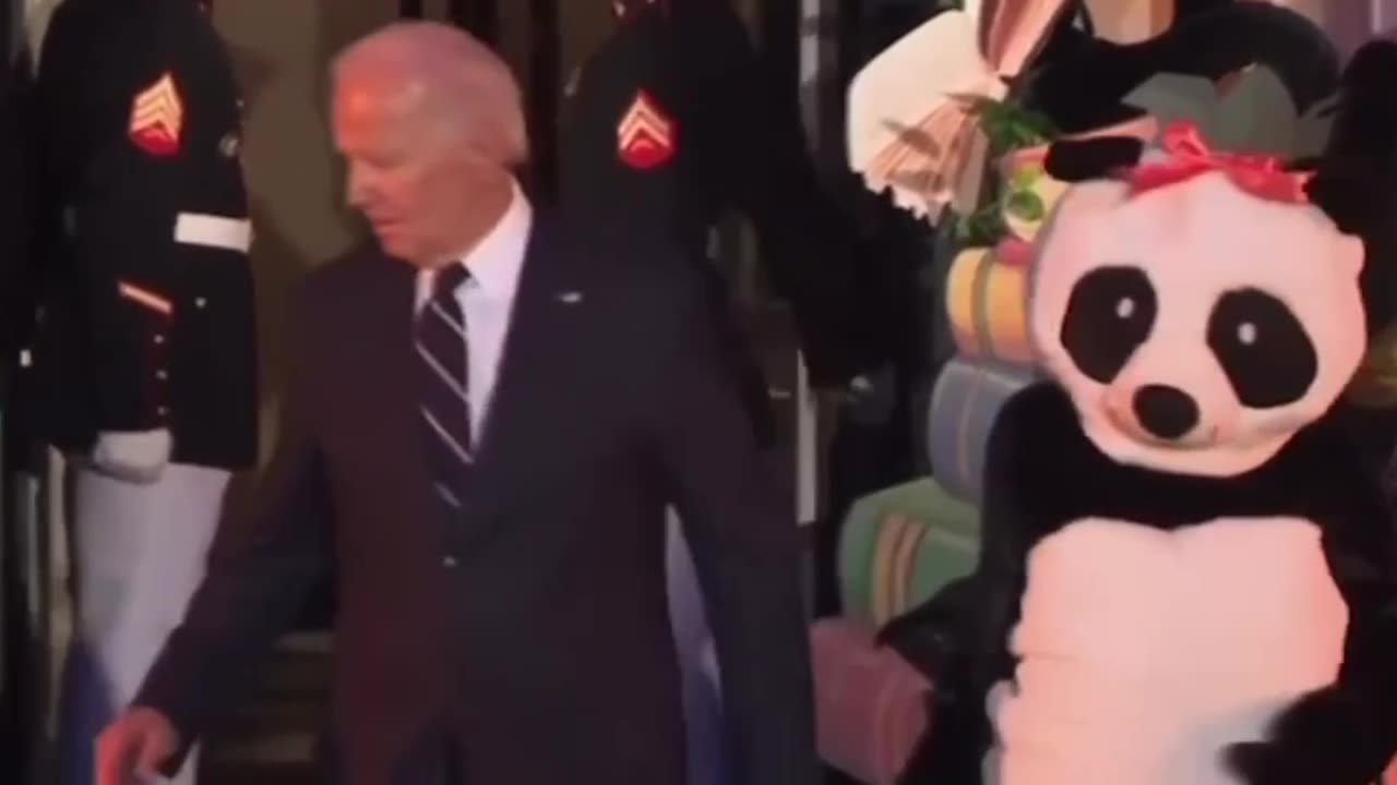 Jill Biden dressed up as a Giant Panda for Hollaween last night