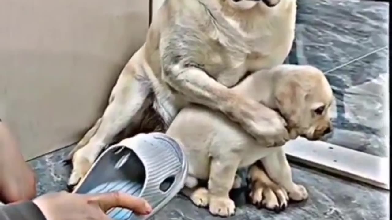 Mom's True Love toward their child