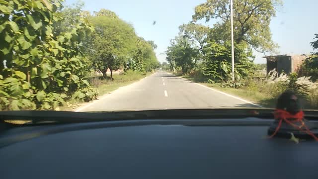 Wrost day for car drive,road rage with cow