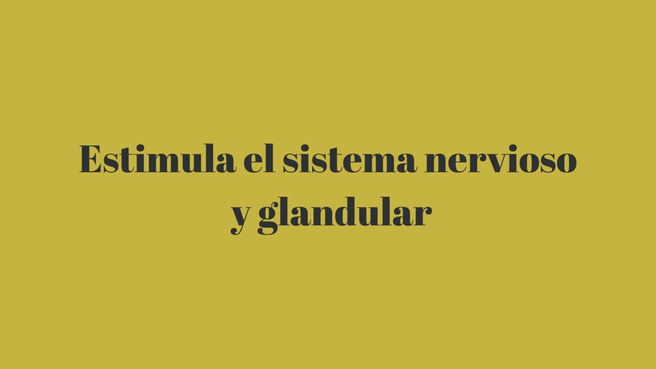 Energía Kundalini y su influencia en las funciones orgánicas