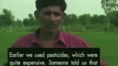 Coca Cola is cheaper than pesticide