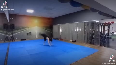 Wushu