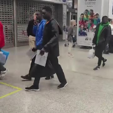 Newest UN army recruits arriving.