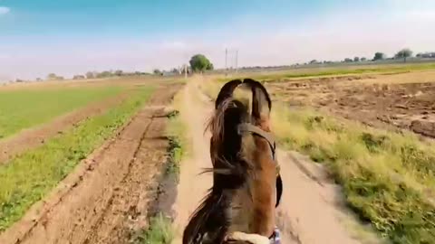 horse riding