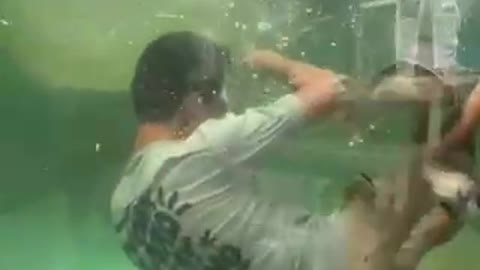 Feeding fish and falling in