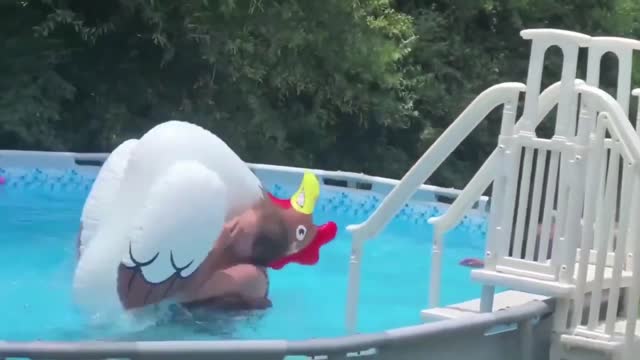 FUNNY FAILS OF THE MONTH FEB 2022