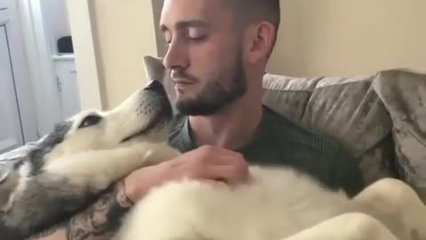 Heartwarming Bond: Man's Unbreakable Connection with His Beloved Dog"