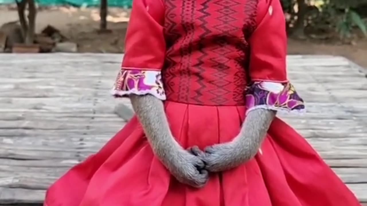 Beautiful dress 👗