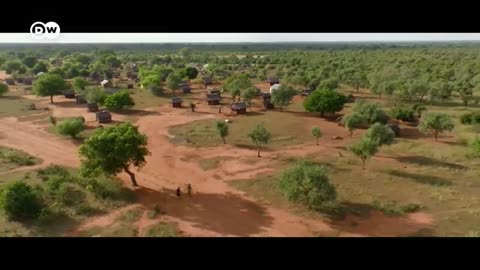 The baobab tree A universe of its own DW Documentary