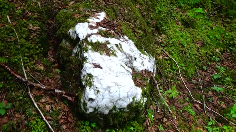 Quartz