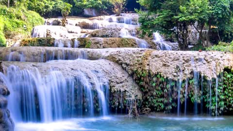 Relaxing Music | Sleeping, Meditation, Stress Relief | [1626] ⭐️