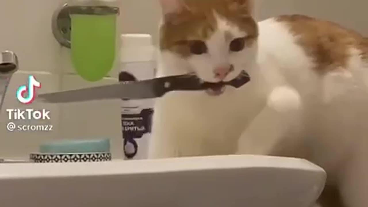 It's better not to get up, he's out of the way