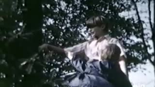 Jeffrey Dahmer The Murderer