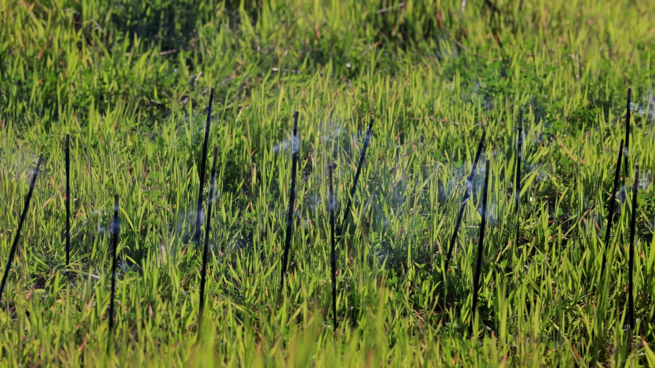 A lovely way to relax