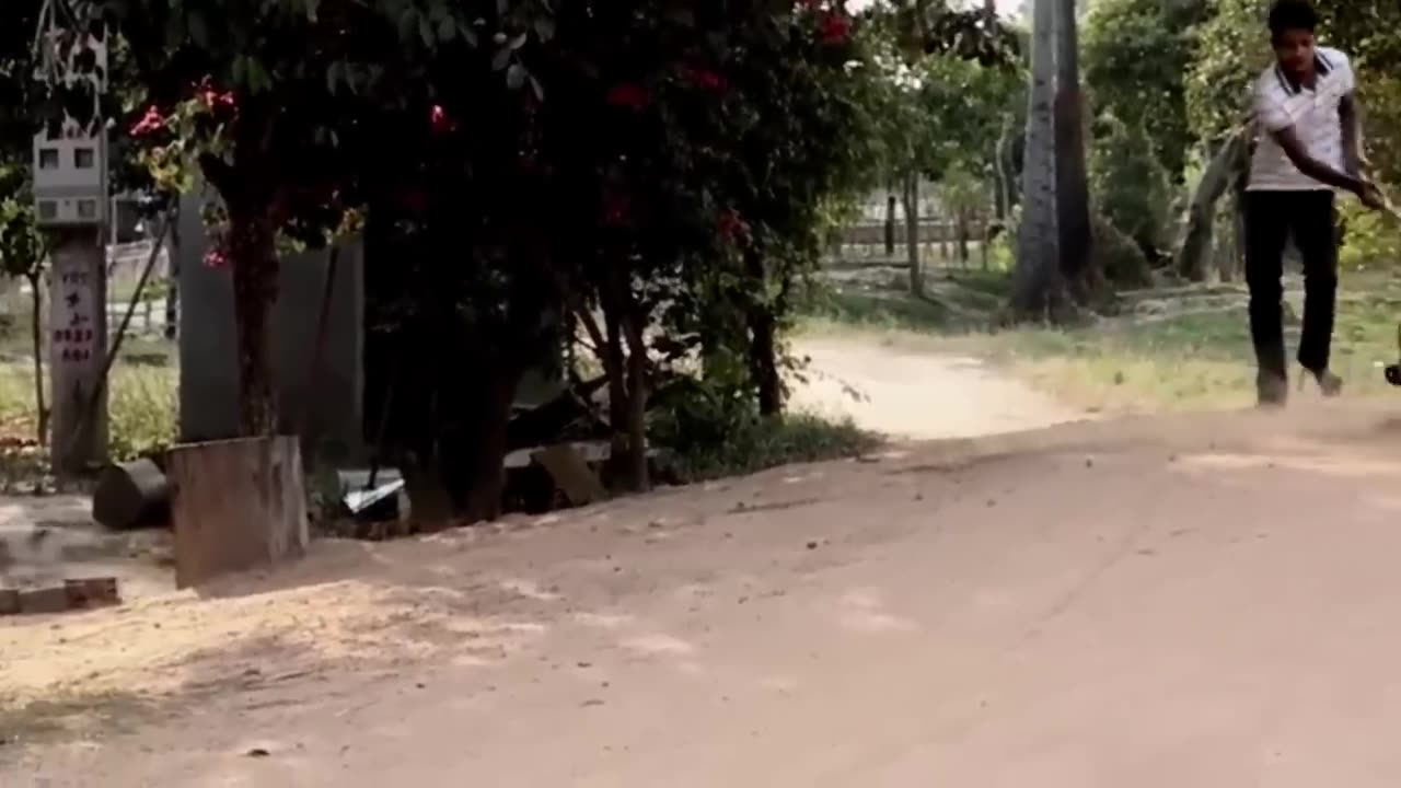 Prank On Dog With Tiger