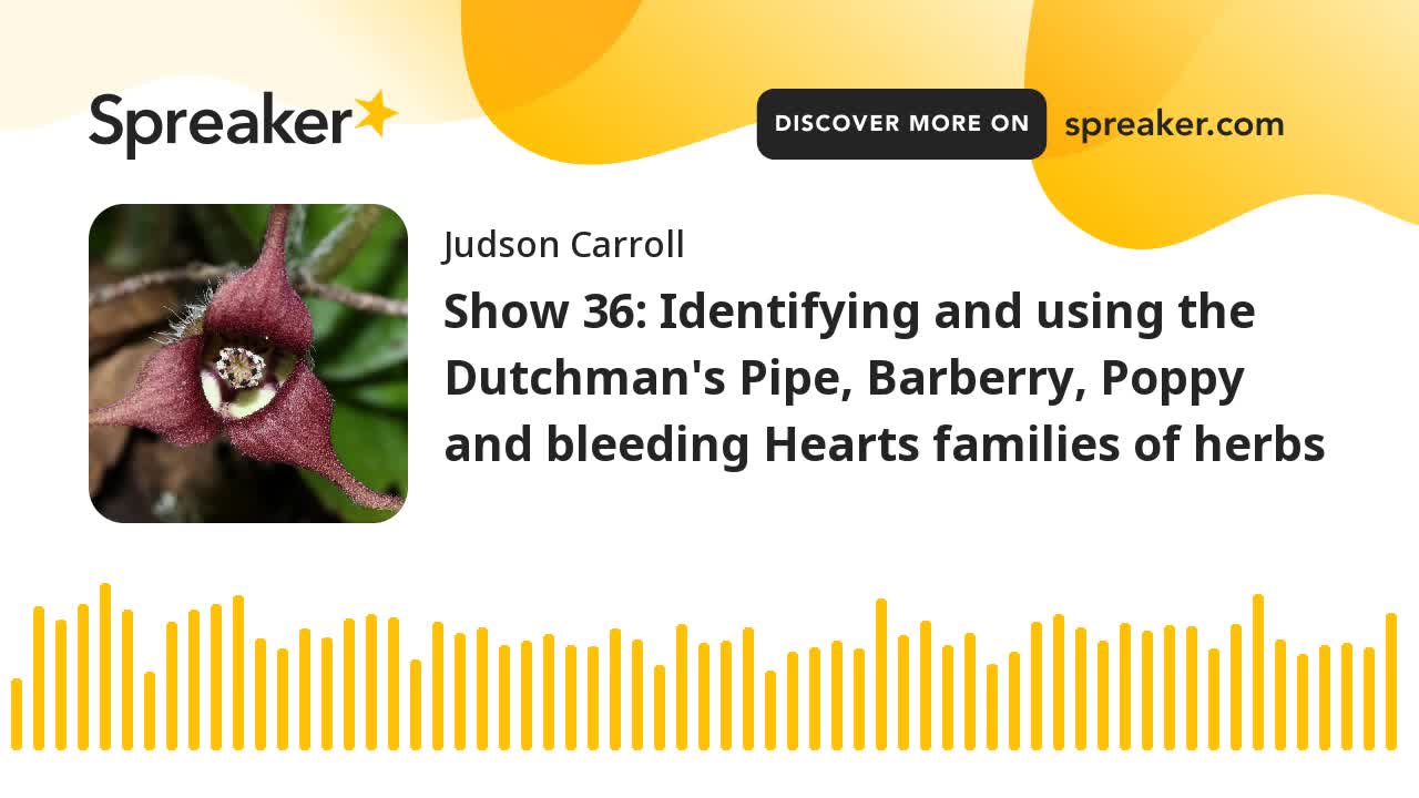 Show 36: The Dutchman's Pipe, Barberry, Poppy and bleeding Hearts families of herbs