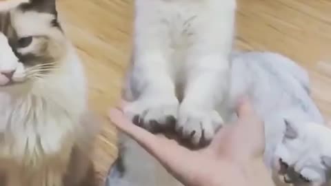 Give me five bro