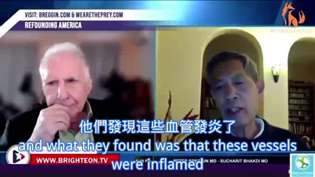 Dr. Bhakdi 陳述了德國🇩🇪病理學家疫苗後屍檢結果。90%的人都有器官自身免疫攻擊的跡象,而幾乎可以在任何器官發現刺突蛋白⋯😭😭 😭😭