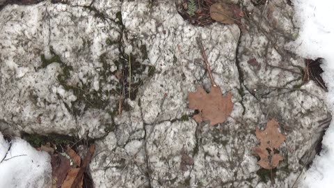 Quartz Rock