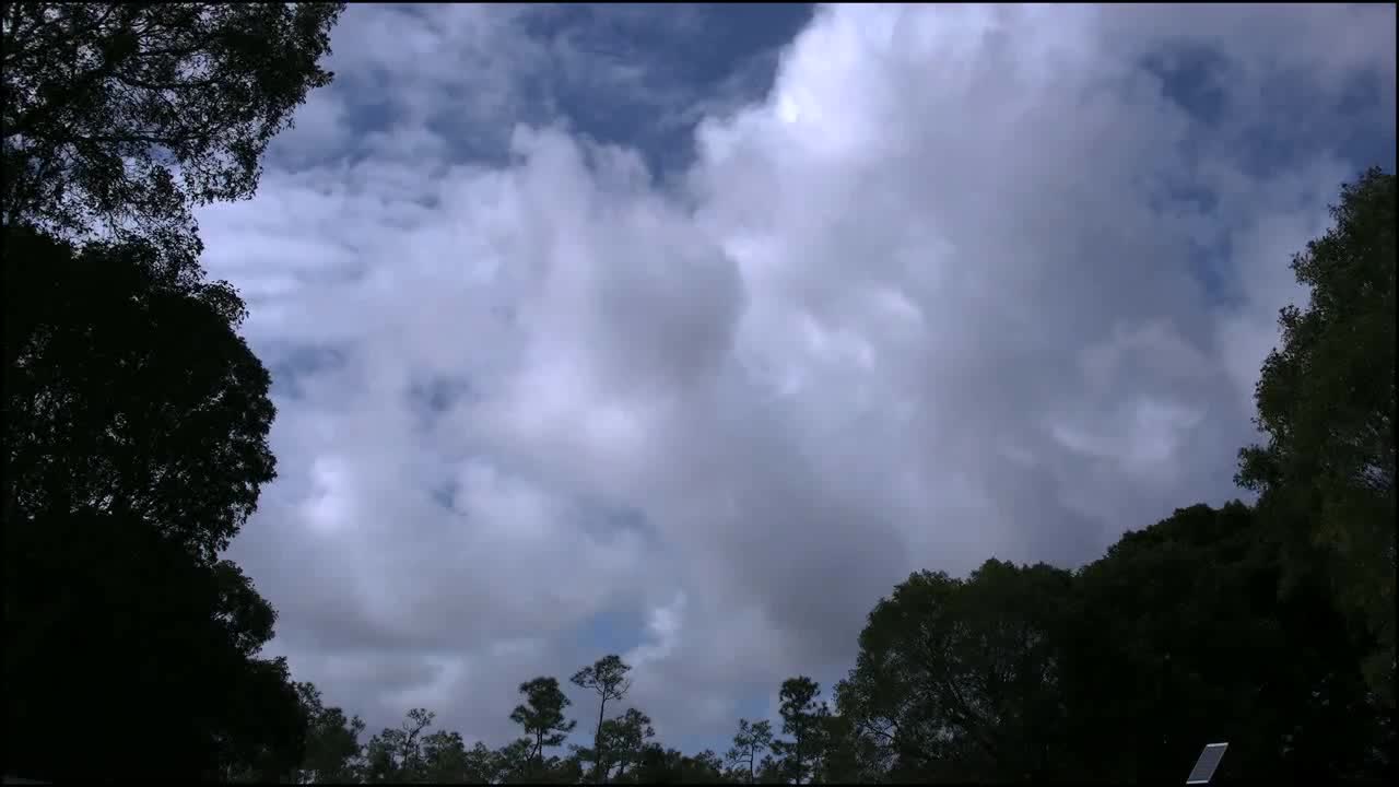 Florida Everglades Clouds Time Lapse