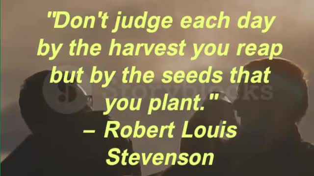 Don't judge each day by the harvest you reap but by the seeds that you plant.