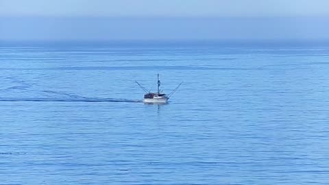 Down at the beach today 7/24/23: