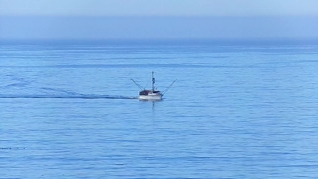 Down at the beach today 7/24/23: